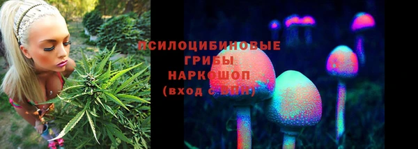 тгк Гусиноозёрск